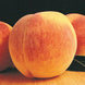 Peach 'Reliance' Seeds