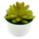 Artificial Succulent Plant
