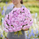 Aster 'Coral Rose' Seeds