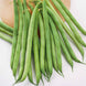 French Bean 'Greencrop' Seeds