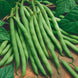 French Bean 'Blue Lake' Seeds