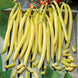 French Bean 'Golden Wax' Seeds