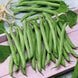French Bean 'Tendergreen' Seeds