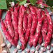 French Bean 'Tongue of Fire' Seeds