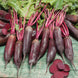Beetroot 'Cylindra' Seeds