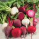 Beetroot 'Rainbow Mix' Seeds