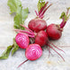 Beetroot 'Chioggia' Seeds