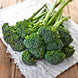 Broccoli 'Di Ciccio' Seeds