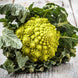 Broccoli 'Romanesco' Seeds