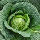 Cabbage 'Savoy' Seeds