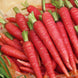 Carrot 'Atomic Red' Seeds