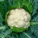 Cauliflower 'Snowball' Seeds
