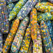 Corn 'Glass Gem' Seeds
