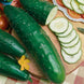 Cucumber 'Ashley' Seeds