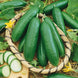 Cucumber 'Diva' Seeds