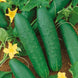 Cucumber 'Double Yield' Seeds