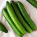 Cucumber 'Tasty Green' Seeds