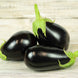 Eggplant 'Black Egg' Seeds
