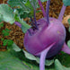 Knol Khol 'Purple Vienna' Seeds