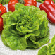 Lettuce 'Buttercrunch' Seeds