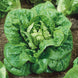 Lettuce 'Little Gem' Seeds