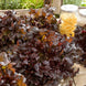 Lettuce 'Salad Bowl Red' Seeds