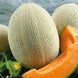 Muskmelon 'Best Jumbo' Seeds