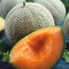 Muskmelon 'Honey Rock' Seeds