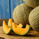 Muskmelon 'Top Mark' Seeds