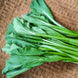 Mustard 'Tendergreen' Seeds