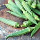 Okra 'Emerald' Seeds