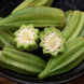 Okra 'Star of David' Seeds
