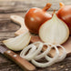 Onion 'Candy' Seeds