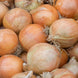 Onion 'Yellow Sweet' Seeds