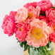 Peony 'Bouquet Mix' Seeds