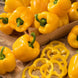 Bell Pepper 'California Wonder' Seeds