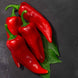 Chilli Pepper 'Marconi Red' Seeds