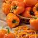 Bell Pepper 'Orange King' Seeds