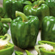 Bell Pepper 'Emerald Giant' Seeds