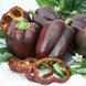 Bell Pepper 'Chocolate Beauty' Seeds