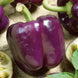 Bell Pepper 'Purple Beauty' Seeds