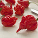 Chilli Pepper 'Trinidad Scorpion' Seeds