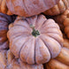 Pumpkin 'Musquee de Provence' Seeds