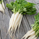 Radish 'White Icicle' Seeds