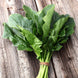 Spinach 'Long Standing' Seeds
