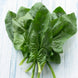 Spinach 'Viroflay' Seeds
