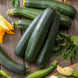 Zucchini 'Black Beauty' Seeds