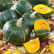 Squash 'Burgess Buttercup' Seeds