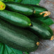 Zucchini 'Dark Green' Seeds