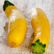 Zucchini 'Straightneck' Seeds